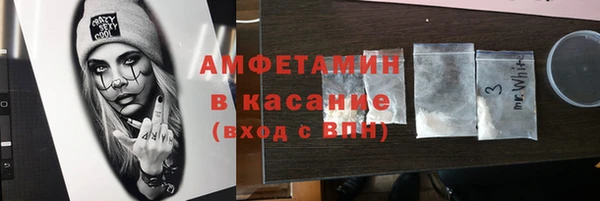 гашик Дмитров