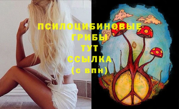 гашик Дмитров