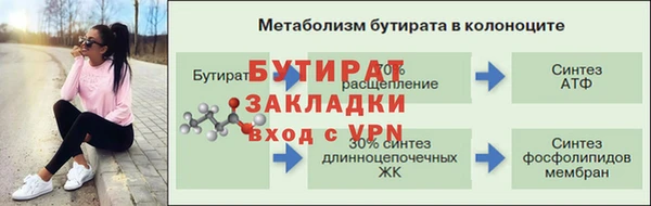 гашик Дмитров