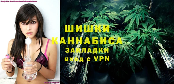 гашик Дмитров