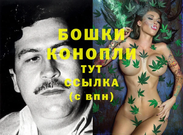 гашик Дмитров