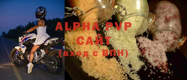гашик Дмитров