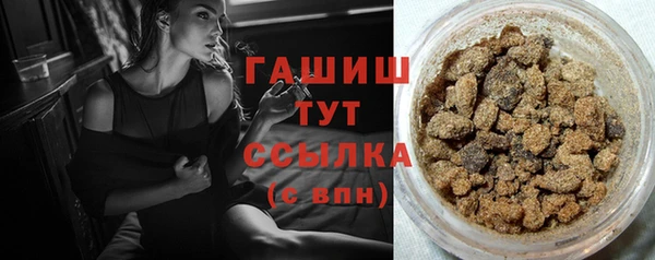 гашик Дмитров
