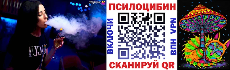 Купить где Талдом Галлюциногенные грибы Psilocybe